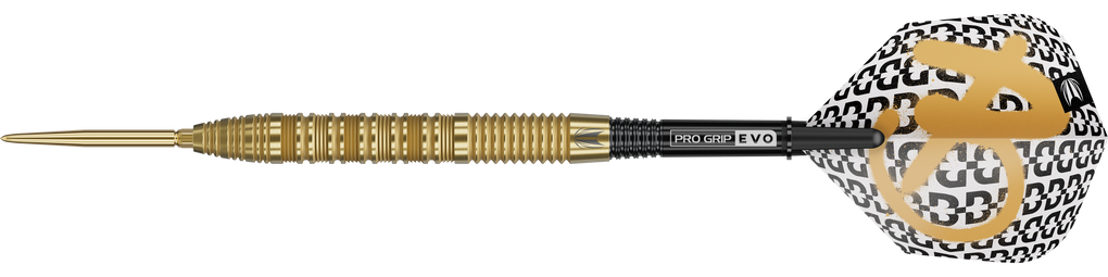 Target Bolide Envy 01 Swiss Point steel darts