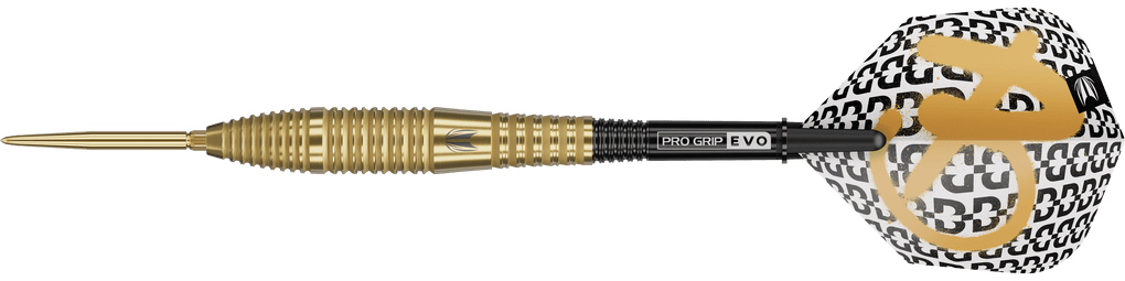 Target Bolide Envy 05 Swiss Point steel darts