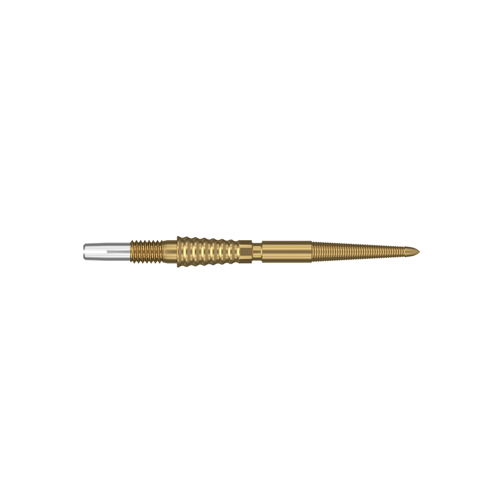 Target Swiss Storm LNC Dart Tips - Gold