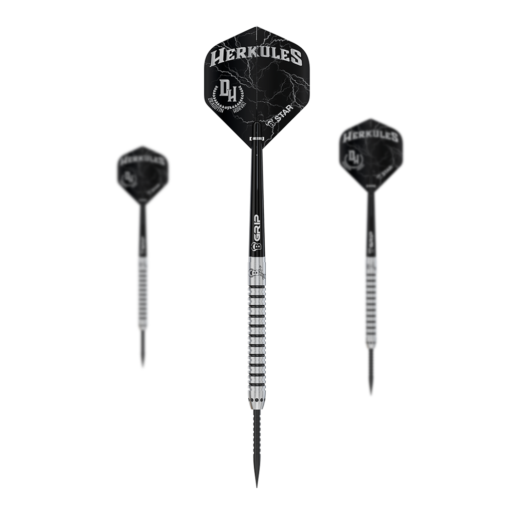 Bulls Challenger Dragutin Horvat steel darts - 21g