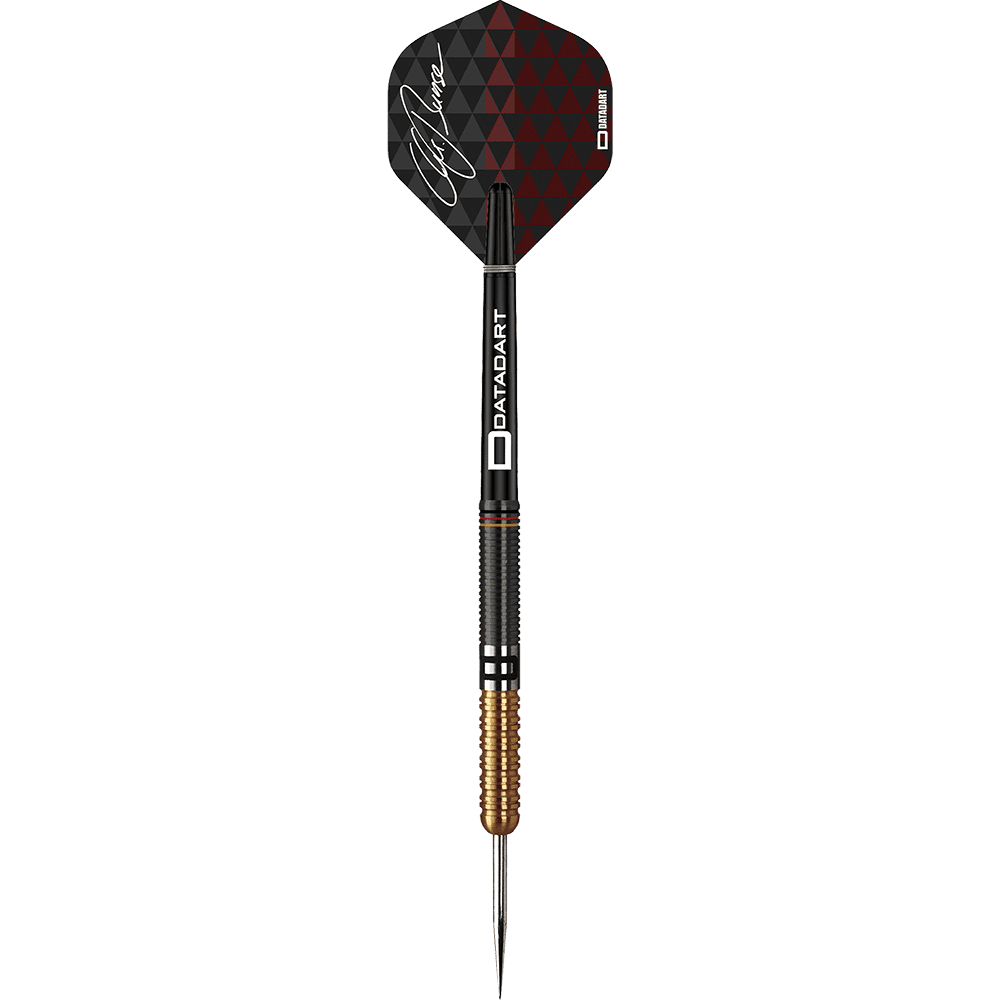 Datadart Christian Bunse Gold Black steel darts