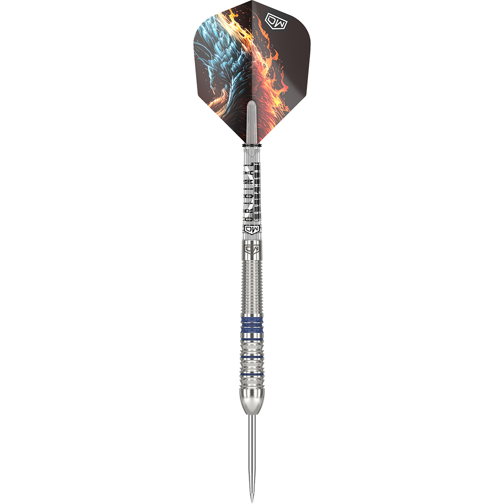 DW Phoenix steel darts