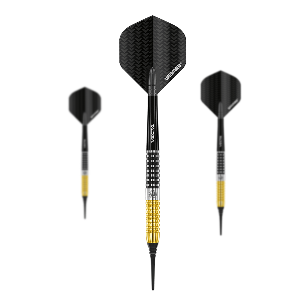 Winmau Steve Beaton Special Edition soft darts