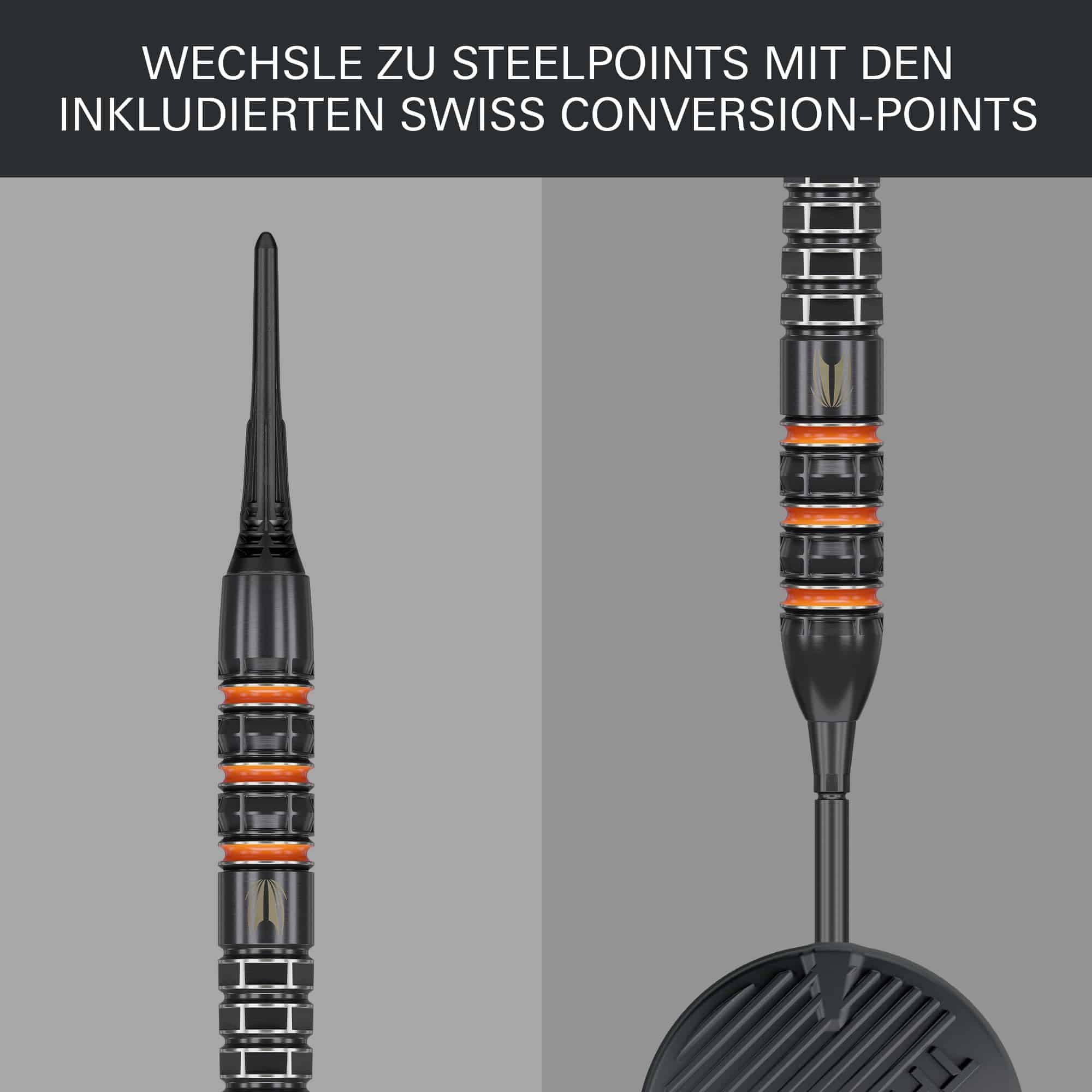 Target Raymond Van Barneveld 95K soft darts - 20g