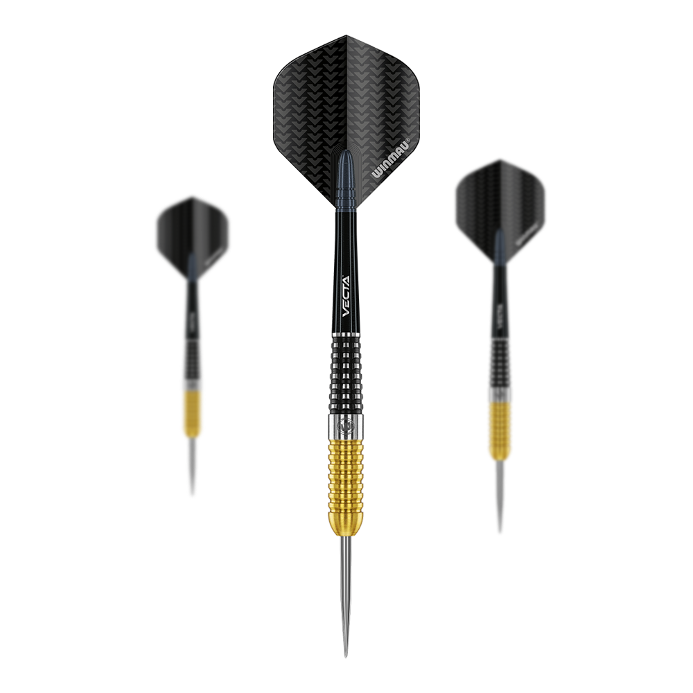 Winmau Steve Beaton Special Edition steel darts
