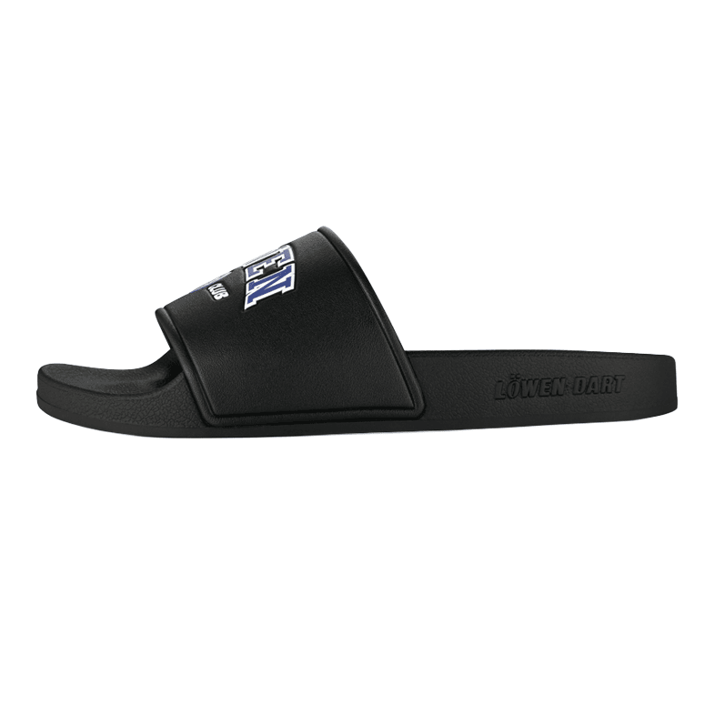 Löwen Collection DARTIletten Dieses Foto stellt die Löwen Kollektion DARTIletten Schuhe dar. Ideal geeignet für Liebhaber des Dartsports.