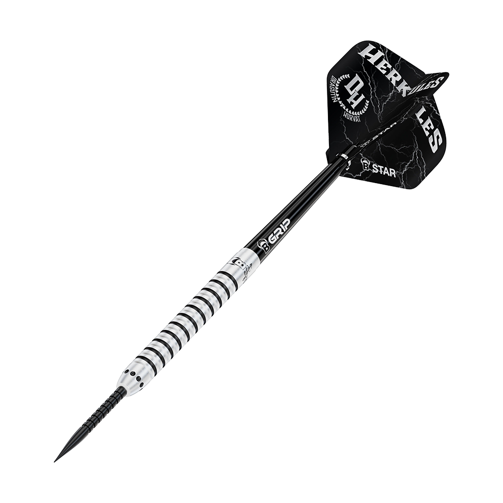 Bulls Challenger Dragutin Horvat Steeldarts - 21g