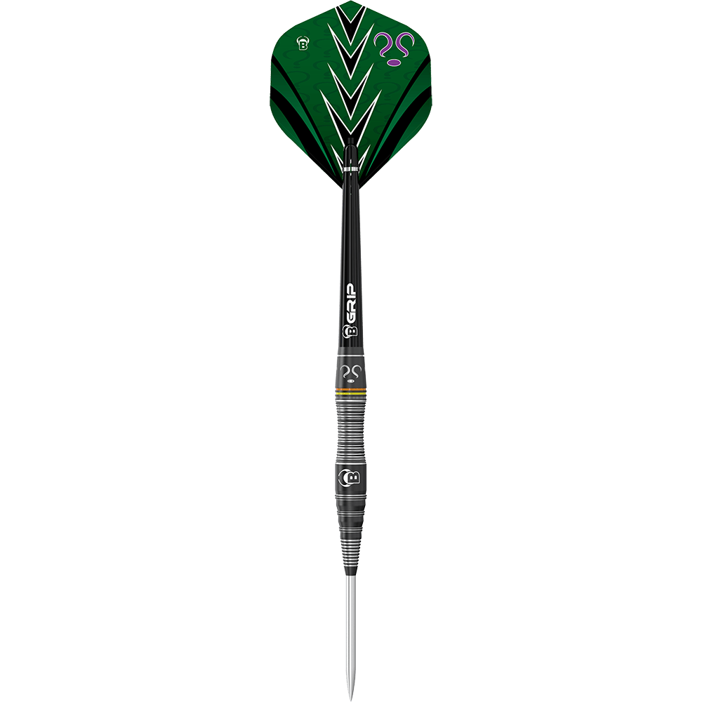Bulls Brian Raman The Riddler Steeldarts Auf dem Bild ist ein Steeldart mit schwarzem Schaft und grüner Flight zu sehen. Auf dem Flight sind mehrere Fragezeichen und ein Pfeilmuster abgebildet.