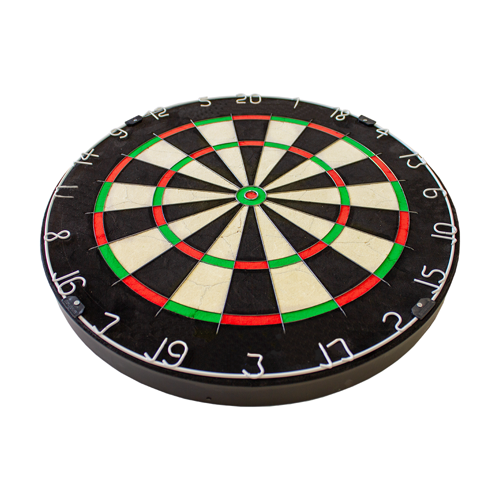 NPQ Steeldartboard