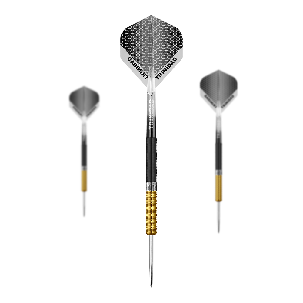 Trinidad Jose De Sousa Type 2 Limited Edition Steel darts - 18g