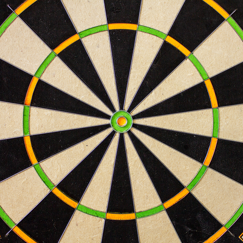 Winmau Champions Choice DualCore Dartboard