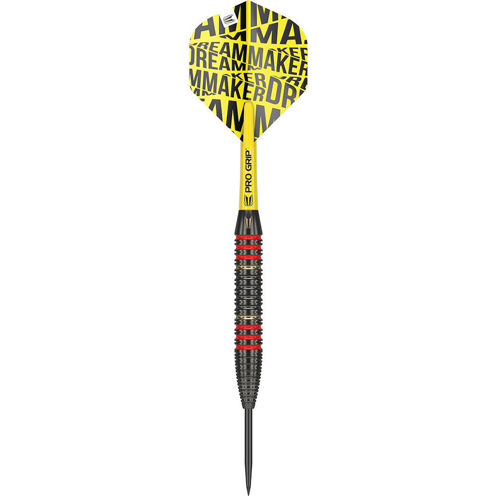 Target Dimitri Van Den Bergh Brass Steeldarts - 22g