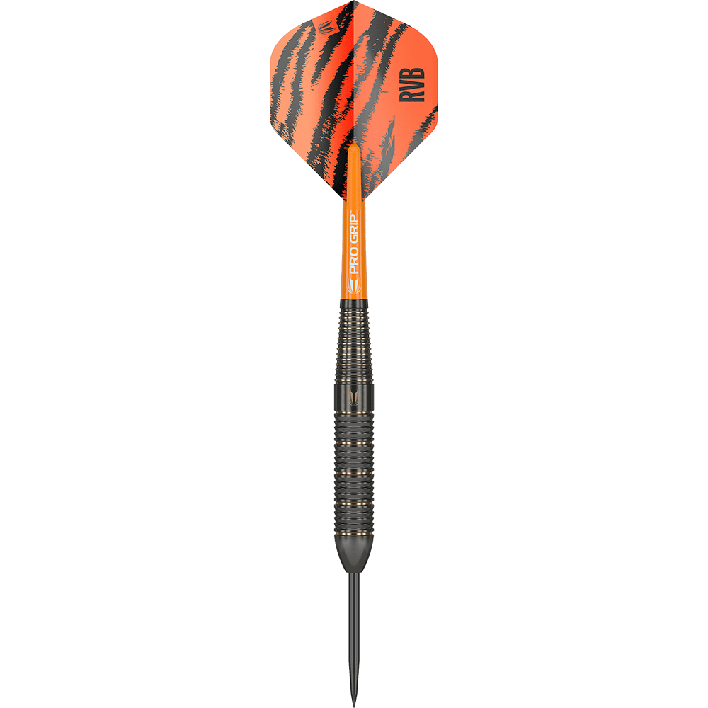 Target Raymond Van Barneveld Brass Steel darts - 22g