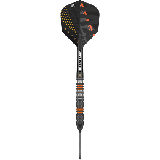 Target Raymond Van Barneveld Black Swiss Point steel darts