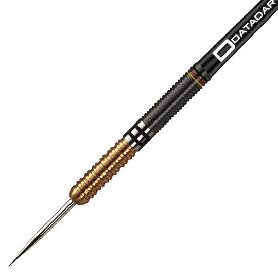 Der Dartpfeil auf dem Bild hat eine goldene und schwarze Griffzone mit einer spitzen Metallspitze. Am Schaft steht der Name "Datadart" geschrieben.