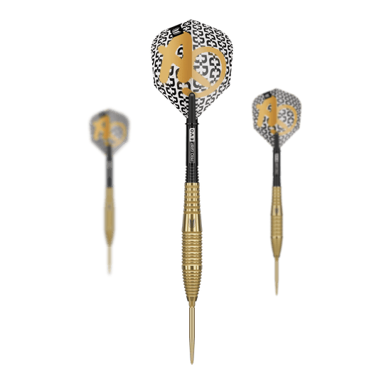 Zu sehen ist der Target Bolide Envy 05 Swiss Point Steeldarts. Dieses Dartpfeil-Set ist ideal für Präzision und Kontrolle.