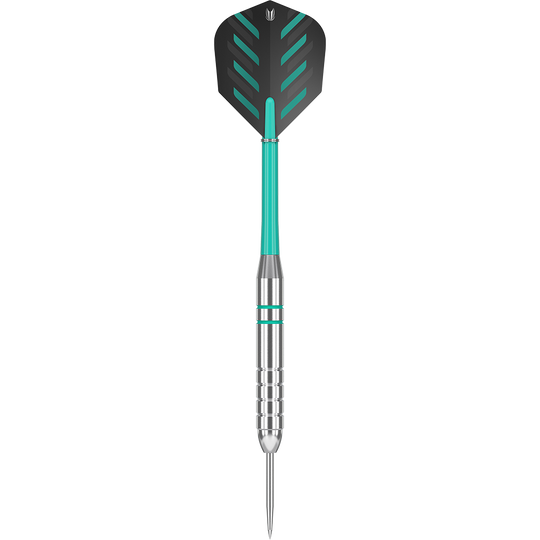 Target Rob Cross Silver Voltage Steeldarts - 24g