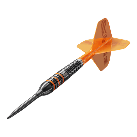 Gezeigt werden die Target Raymond Van Barneveld 95K Swiss Points Steeldarts. Der Dartpfeil ist mit speziellen Swiss Points ausgestattet.