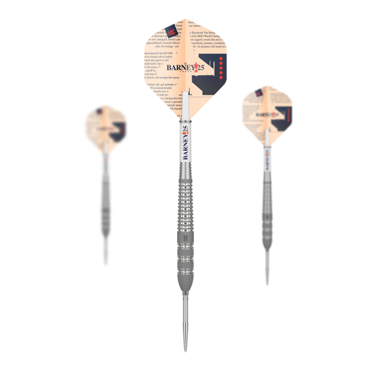 Target Raymond Van Barneveld Barney25 Swiss Point Steel Darts