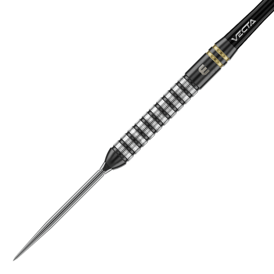 Das Foto zeigt Winmau Gian Van Veen TS Switch Point Steeldarts. Der Dartpfeil ist detailliert abgebildet.