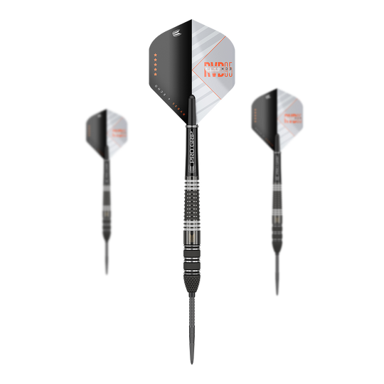 Target Raymond Van Barneveld RvB95 X Echo Swiss Point Steeldarts