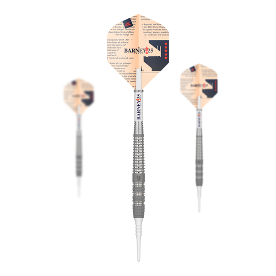 Target Raymond Van Barneveld Barney25 soft darts