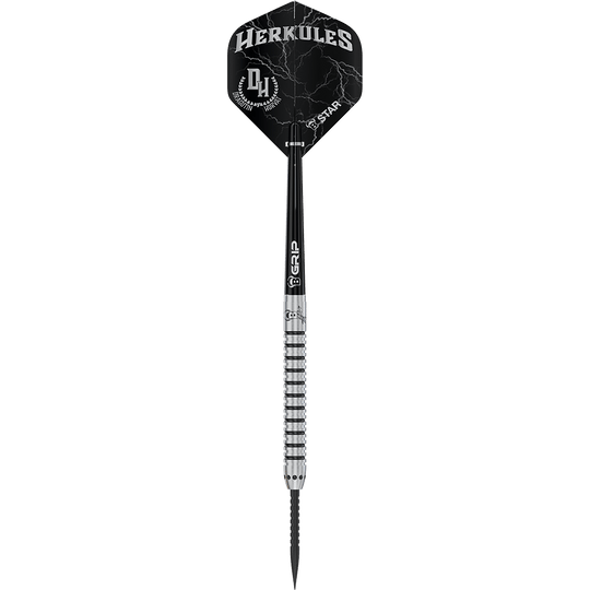 Bulls Challenger Dragutin Horvat Steeldarts - 21g