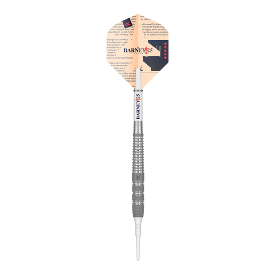 Target Raymond Van Barneveld Barney25 soft darts