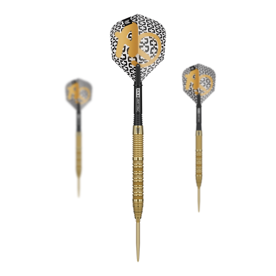 Das Bild zeigt die Target Bolide Envy 01 Swiss Point Steeldarts. Diese Dartpfeile eignen sich ideal für ambitionierte Spieler.