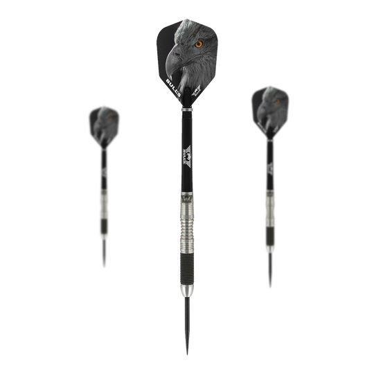 Bulls NL Eagle 2 darts