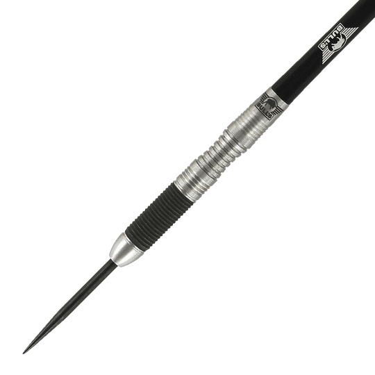 Bulls NL Eagle 2 darts