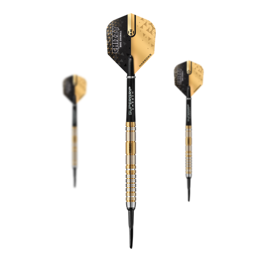 Harrow&#39;s Dave Chisnall Chizzy 2024 Series 2 soft darts