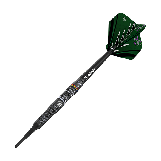 Bulls Brian Raman The Riddler Soft Darts - 18g