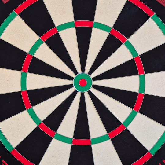 Target TOR EVO steel dartboard