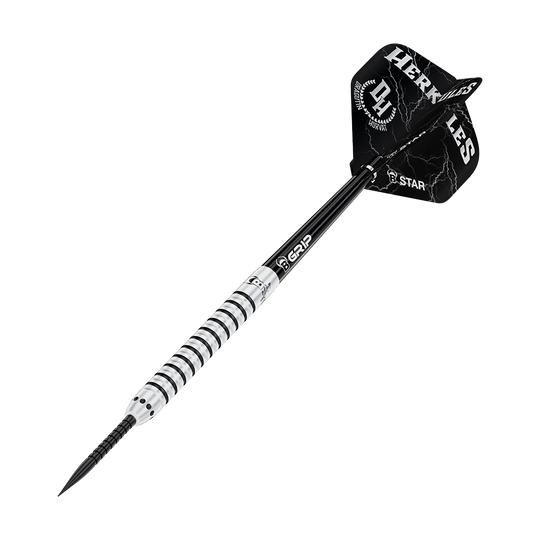 Bulls Challenger Dragutin Horvat Steeldarts - 21g