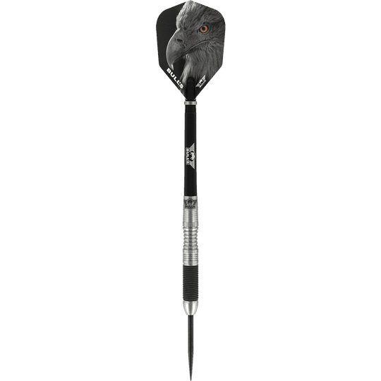 Bulls NL Eagle 2 darts