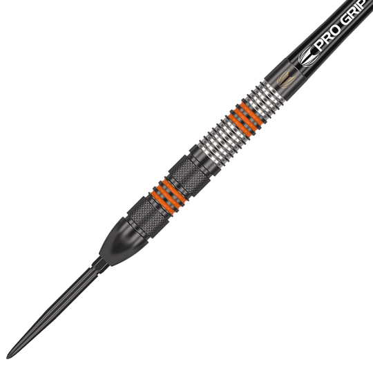 Target Raymond Van Barneveld Black Swiss Point steel darts