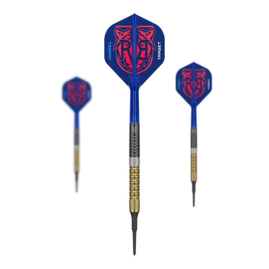 Target Raymond Van Barneveld GEN6 soft darts Das Bild zeigt das Target Raymond Van Barneveld GEN6 Softdarts Set. Alle enthaltenen Darts und Zubehörteile sind zusammen zu sehen.