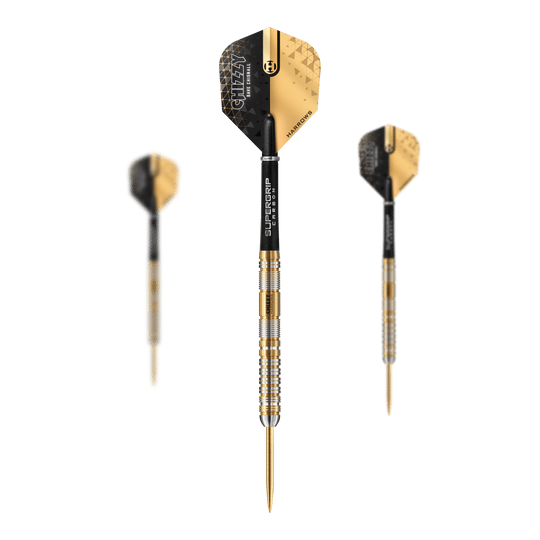 Harrow&#39;s Dave Chisnall Chizzy 2024 Series 2 steel darts