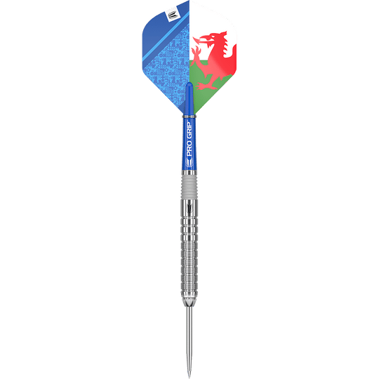 Target Lewy Williams GEN1 Steeldarts