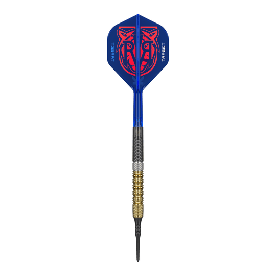 Target Raymond Van Barneveld GEN6 soft darts Das Bild zeigt die Target Raymond Van Barneveld GEN6 Softdarts. Die Darts sind deutlich sichtbar dargestellt.