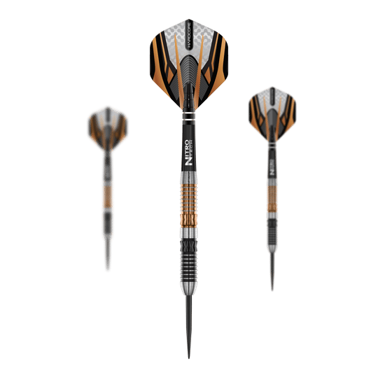 Red Dragon Panterra steel darts