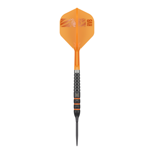 Target Raymond Van Barneveld 95K Swiss Points Steeldarts sind professionelle Steeldarts. Das Bild zeigt das Design und die Details dieses Dartpfeils.